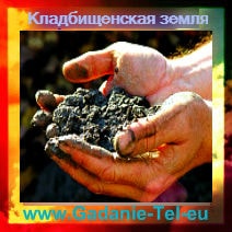 кладбищенская земля