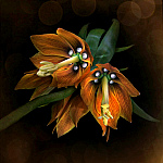 Цветотерапия