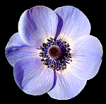 Цветотерапия