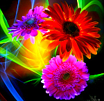 Цветотерапия