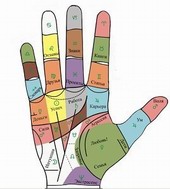 Обучение хиромантии