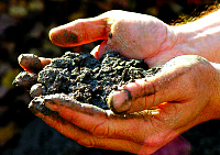 Порча, заговоры, привороты на кладбищенскую землю