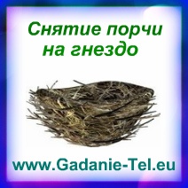 Снятие порчи на гнездо